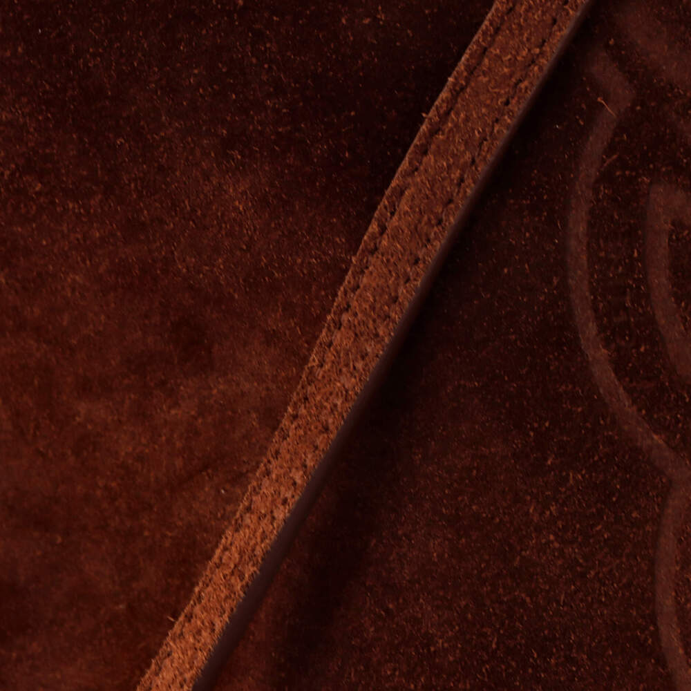 Celine Triomphe Bucket Bag Embossed #247952C16B - Picture 7 of 8